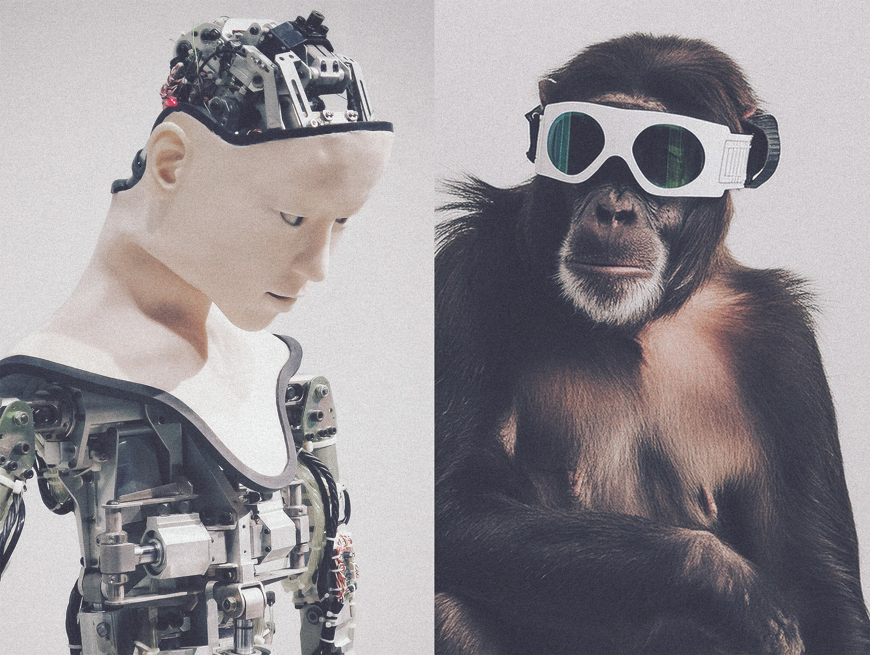 ©Ape-Robot-bagarre das mag