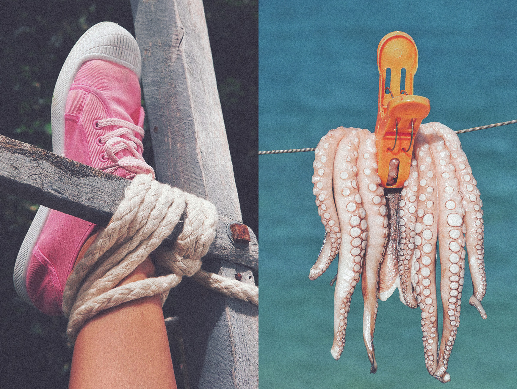 ©Octopus-bagarre das mag