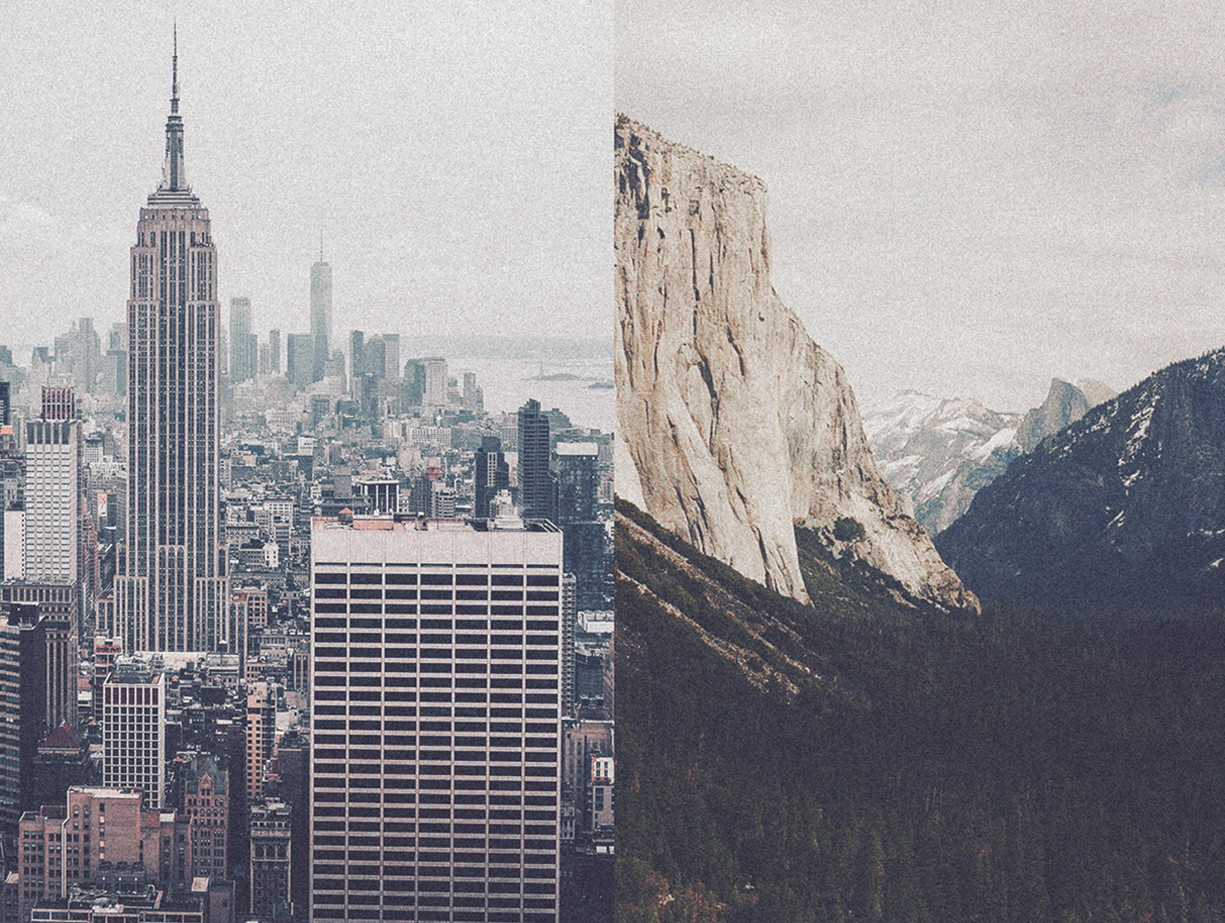 ©Flamant-Rose-bagarre das mag